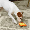 Outward Hound | Durablez Mini Chicky