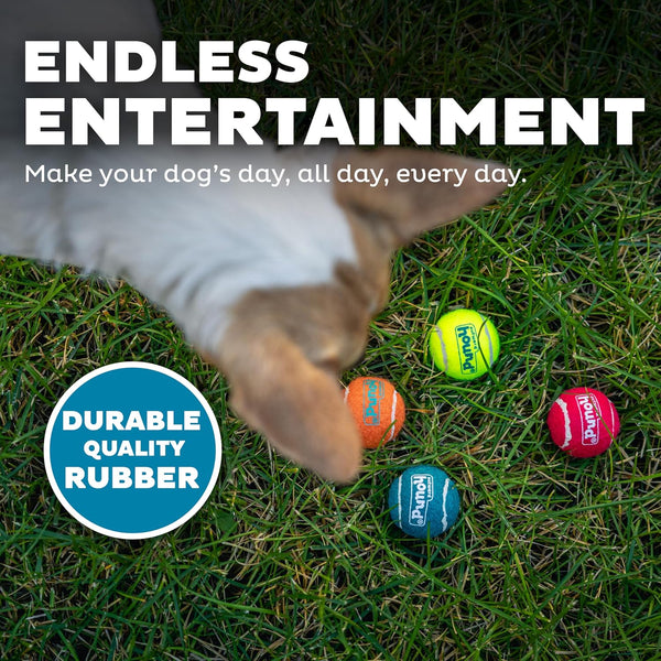 Outward Hound | Squeaker Ballz