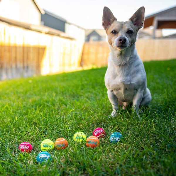 Outward Hound | Squeaker Ballz