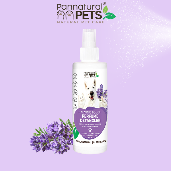 Pannatural Natural | Detangler Perfume – Calming Touch Lavender