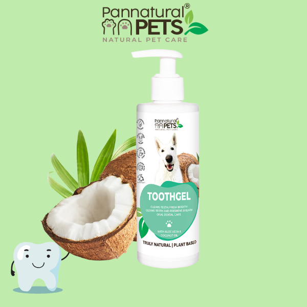 Pannatural Natural | Dog Toothpaste – Cleaning and Re-freshening Toothgel