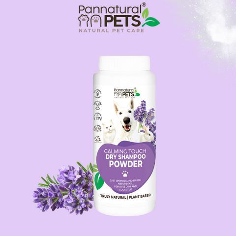 Pannatural Natural | Dry Shampoo Powder – Calming Lavender