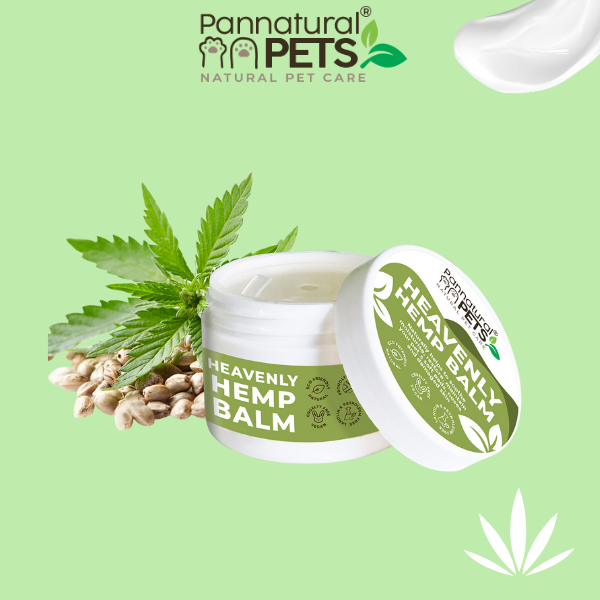 Pannatural Natural | Heavenly Hemp Balm – Moisturising and maintaining butter