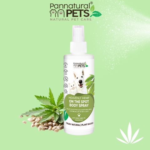 Pannatural Natural | Heavenly Hemp Body Spray – Herbal body spray for skin maintenance