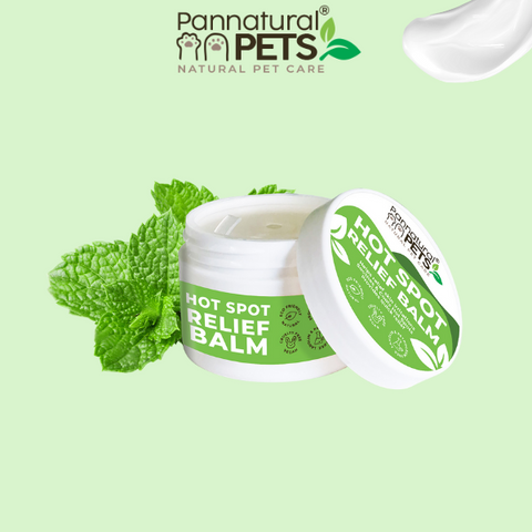 Pannatural Natural | Hot Spot Butter – Itch Relief