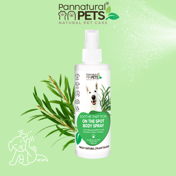 Pannatural Natural | Pet Itch Relief Spray – Soothe That Itch