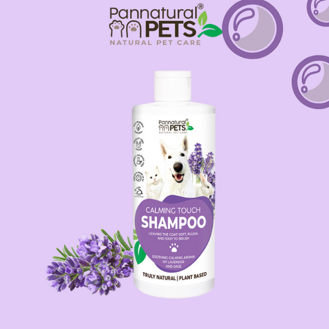 Pannatural Natural | Pet Shampoo Calming Touch Lavender