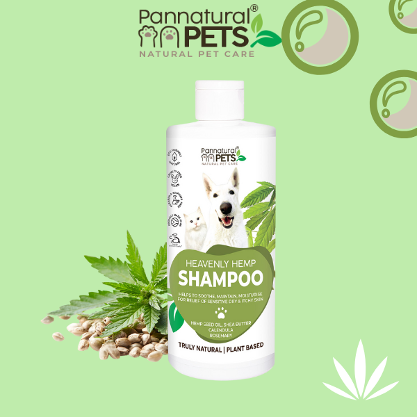 Pannatural Natural | Pet Shampoo Heavenly Hemp