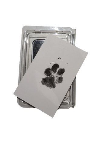 Adorable Paw Print Kit