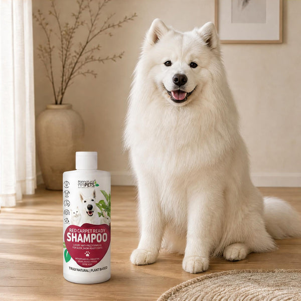 Pannatural Natural Pet Shampoo Red Carpet Ready
