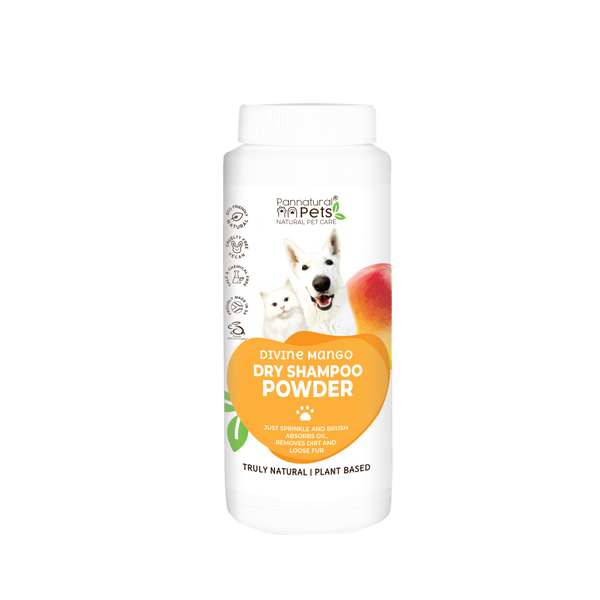 Pannatural Natural Dry Shampoo powder – DIVINE MANGO