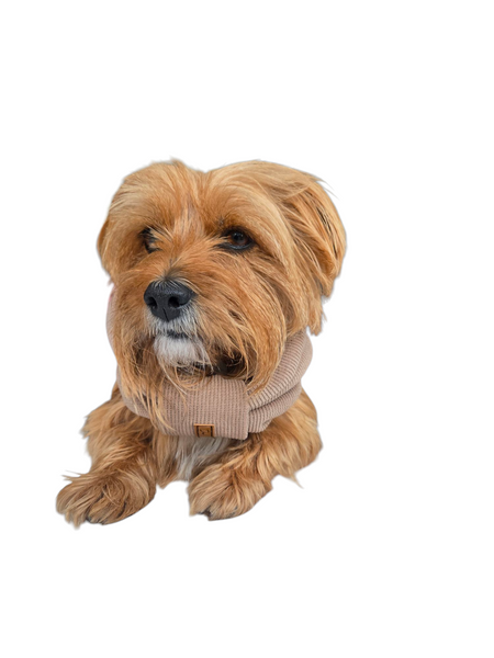 Pet Snood | Cream Of The Crop