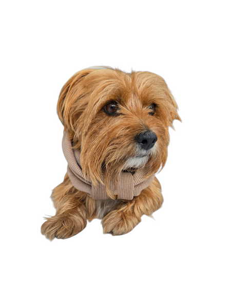 Pet Snood | Cream Of The Crop