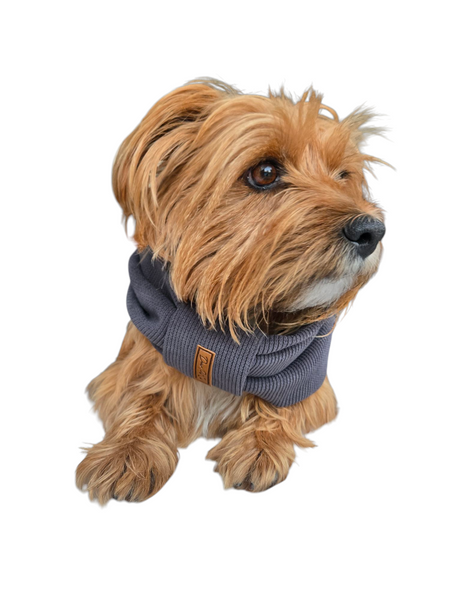 Pet Snood | Dark Grey
