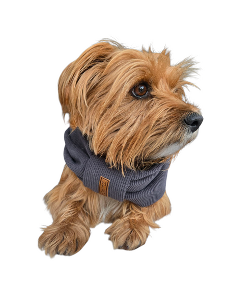 Pet Snood | Dark Grey