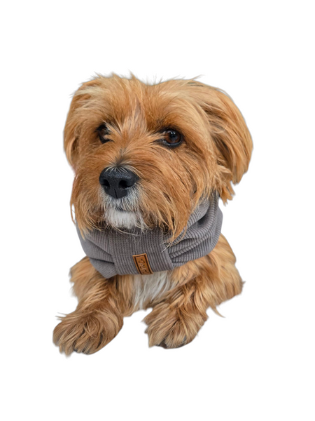 Pet Snood | Rainy Days