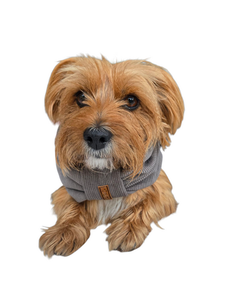 Pet Snood | Rainy Days