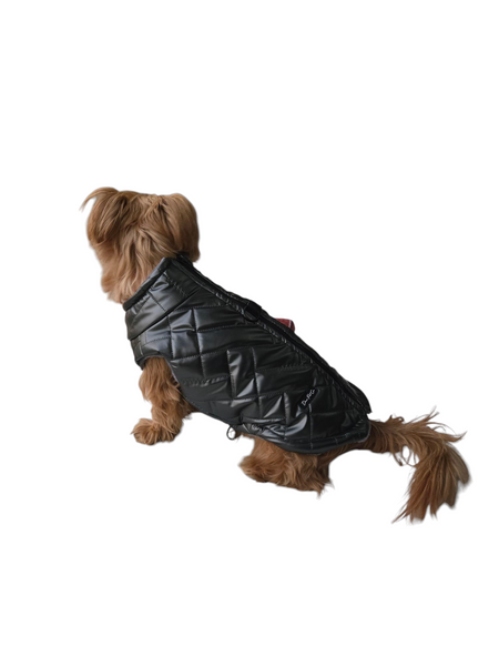 Pooch Puffer | Ebony Shine