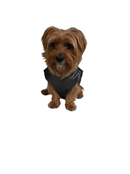 Pooch Puffer | Ebony Shine
