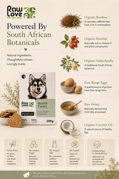 Raw Love Health Treats