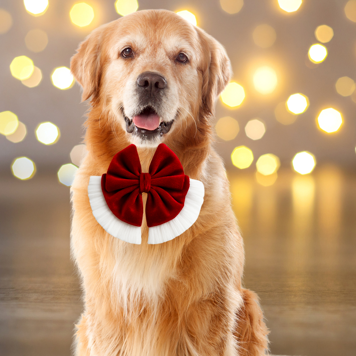 Dear Pet | Red Christmas Velvet Sailor Bow Tie