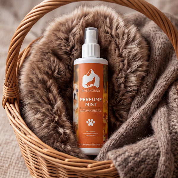 River Hound Autumn Breeze Perfume Mist | 250ml