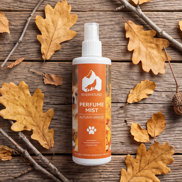 River Hound Autumn Breeze Perfume Mist | 250ml