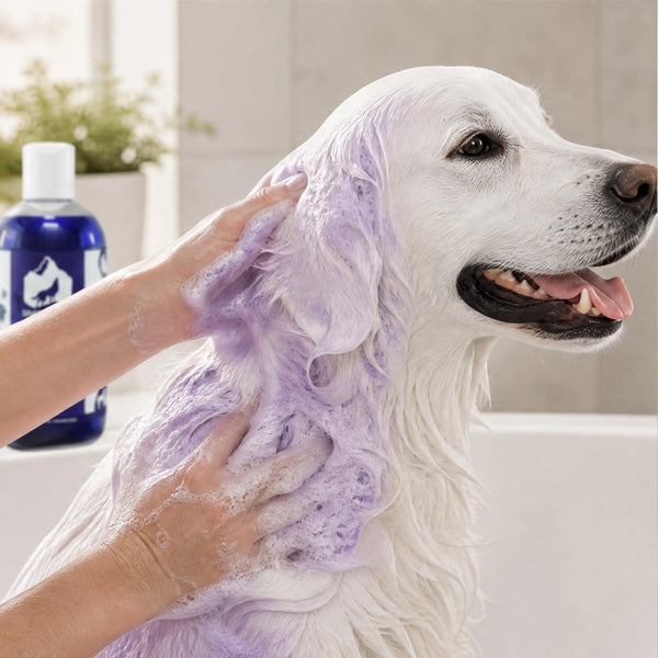 Riverhound Colour Enhancer Shampoo | 250ml