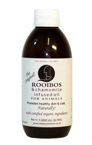 Rooibos & Chamomile Infused Oil | Original