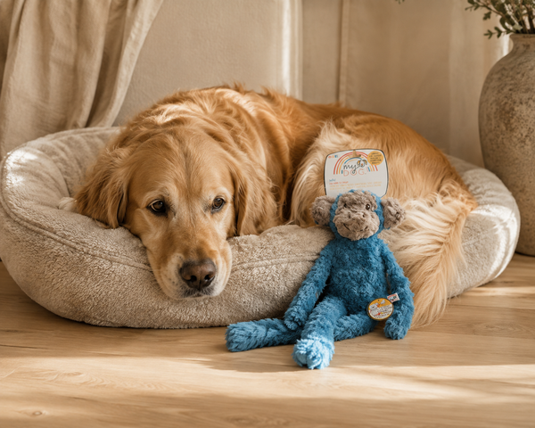 Rosewood MyDog Luxury Plush Toy | Monkey