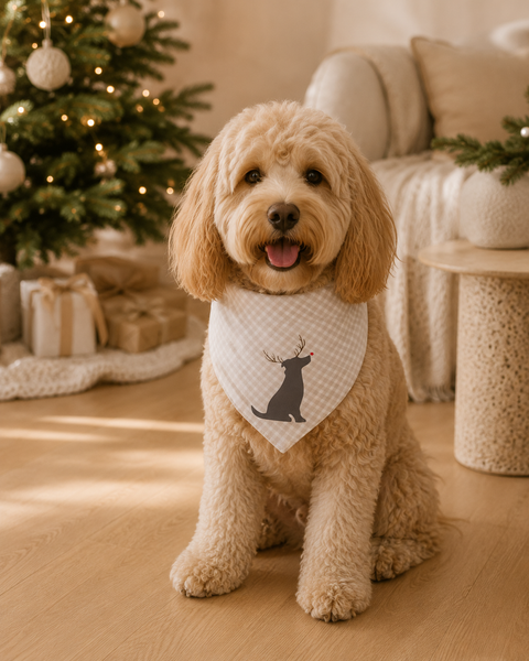 Dear Pet Co Christmas Bandana | Rudolph