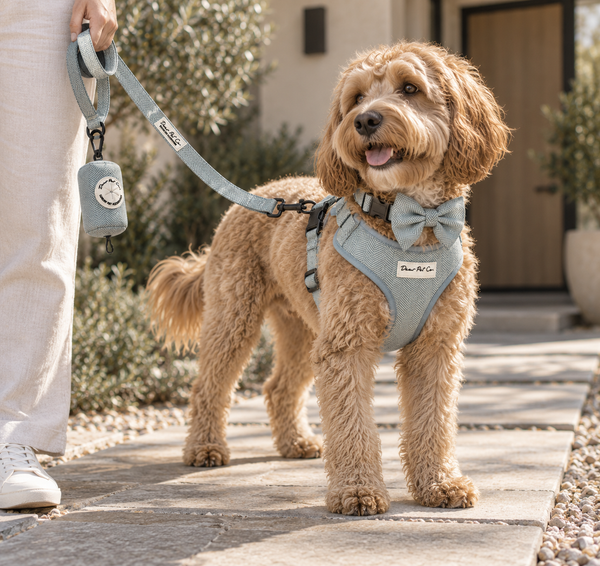 Dear Pet Co | Skyline Strides Waste Bag Holder