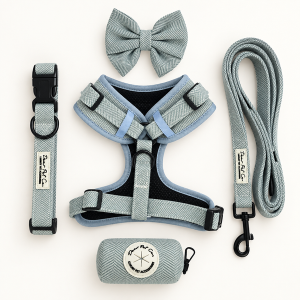 Dear Pet Co | Skyline Strides Complete Adventure Set