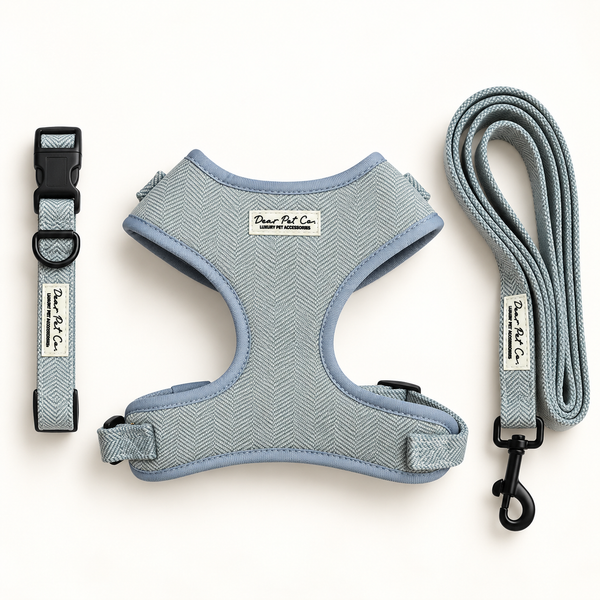 Dear Pet Co | Skyline Strides Walk & Wear Bundle