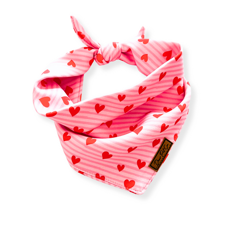Bandana | Sweetheart Stripes