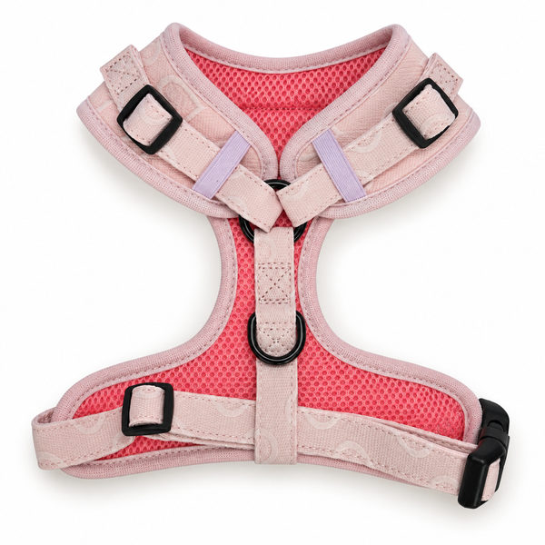 Dear Pet Co | Sweetheart Strolls Adjustable Dog Harness