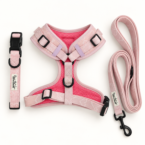 Dear Pet Co | Sweetheart Strolls Walk & Wear Bundle