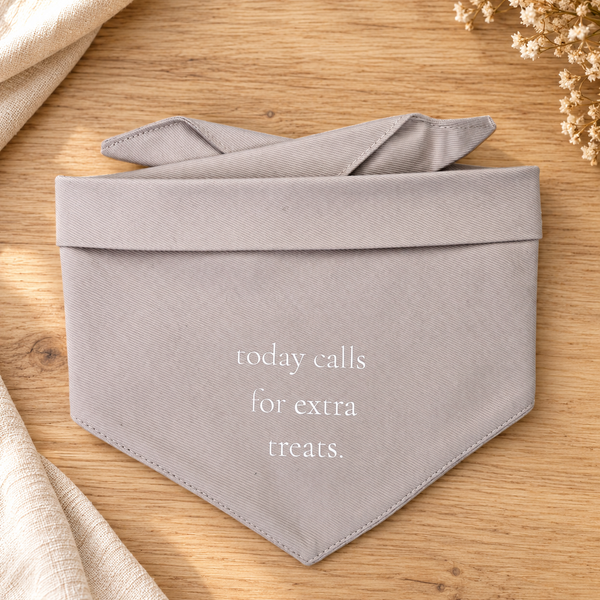 Today Calls For Extra Treats Bandana
