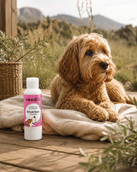 Vondi's Khakibos Flea Repellent Powder | 100g