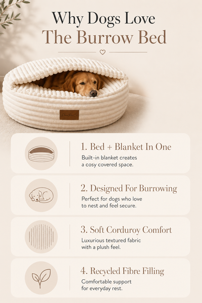 Dear Pet Co Burrow Pet Bed | Cream Cove