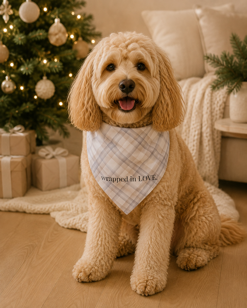 Dear Pet Co Christmas Bandana | Wrapped In Love