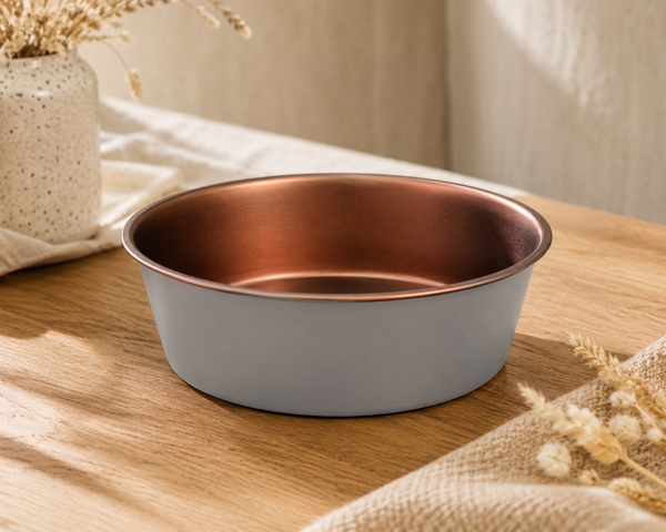 Zaara Pet Bowl