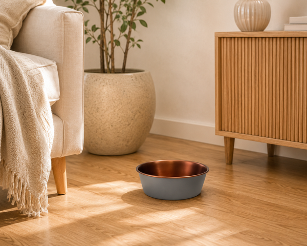 Zaara Pet Bowl