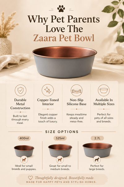 Zaara Pet Bowl