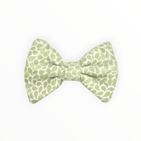 Bow Tie | Blown Away