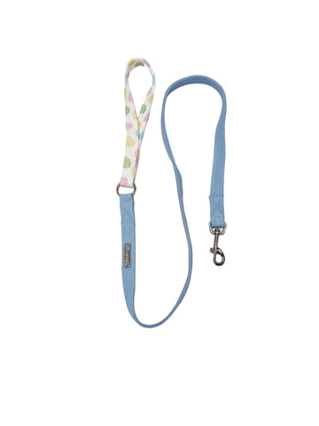 Combo Leash | Check The Eggs x Easter Blue