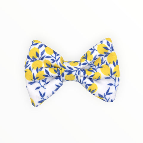 Bow Tie | Citrus Paws