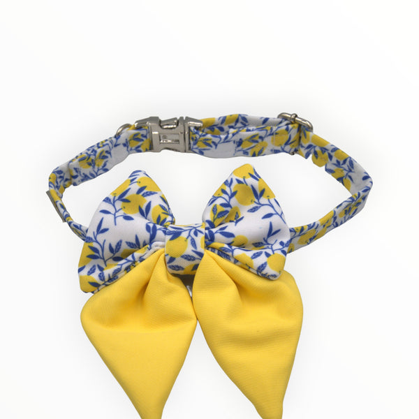 Sailor Bow Tie | Citrus Paws