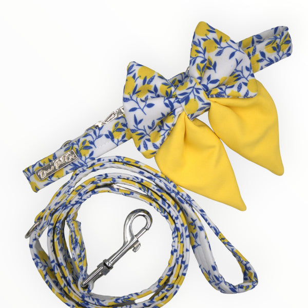 Sailor Bow Tie | Citrus Paws