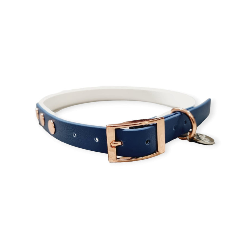 Colla Dear Waterproof Collar - Two Tone | Kerosene & Pure White – Dear Pet Company